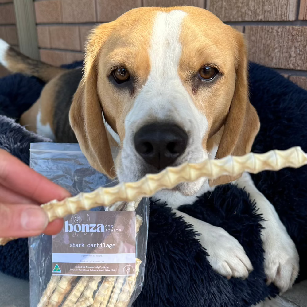 Shark Cartilage for Dogs | Natural Joint Support Treats