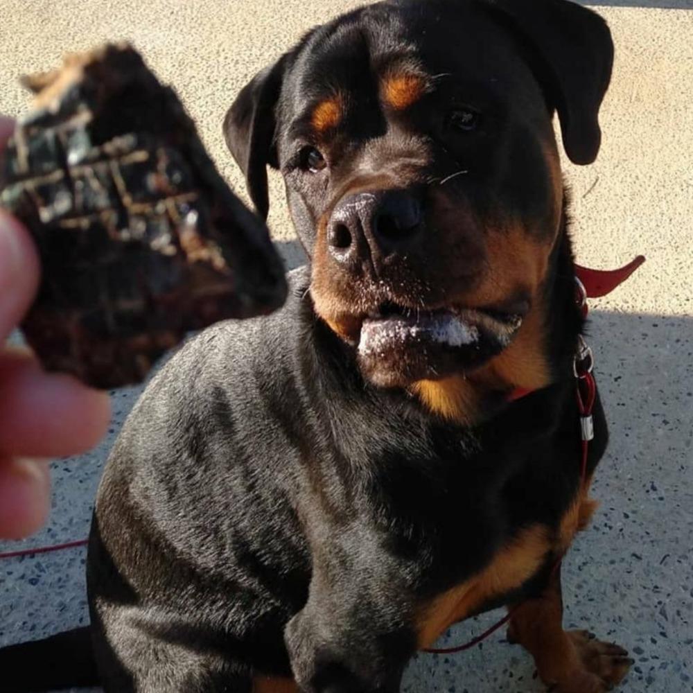 Rottie with wild boar liver offal Bonza Dog Treats