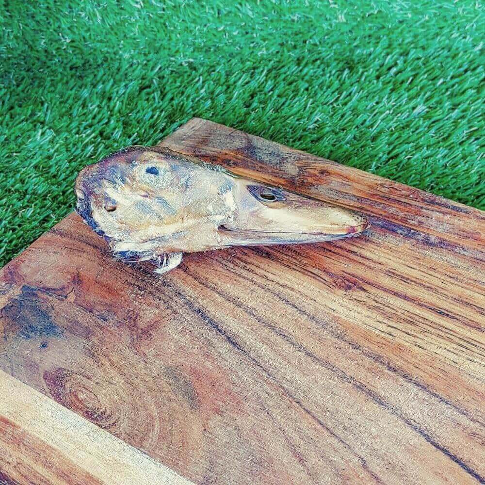 Duck Head for crunchy dental and joint health support | Bonza Dog Treats