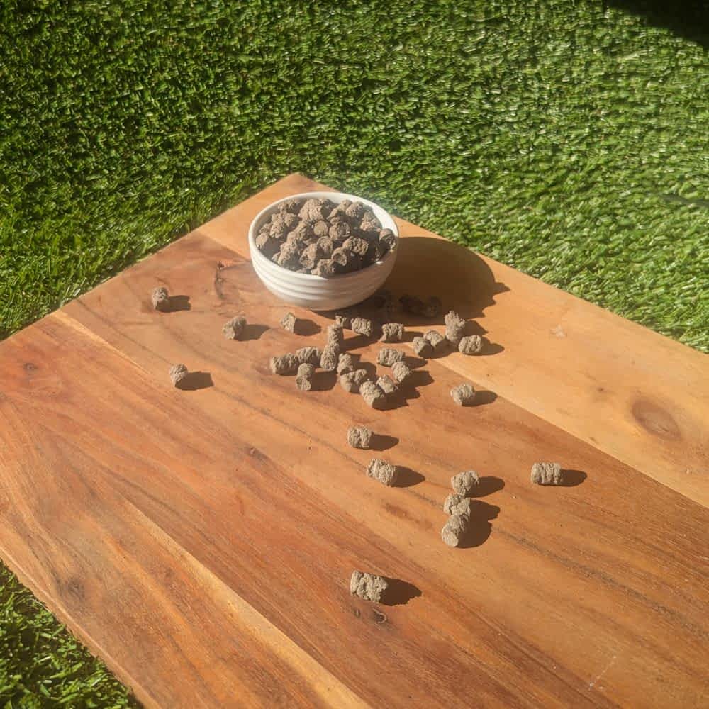Tiny insect training treats (BSFL) for sustainable and hypoallergenic rewards | Bonza Dog Treats