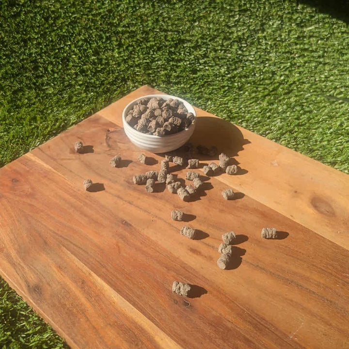 Tiny insect training treats (BSFL) for sustainable and hypoallergenic rewards | Bonza Dog Treats
