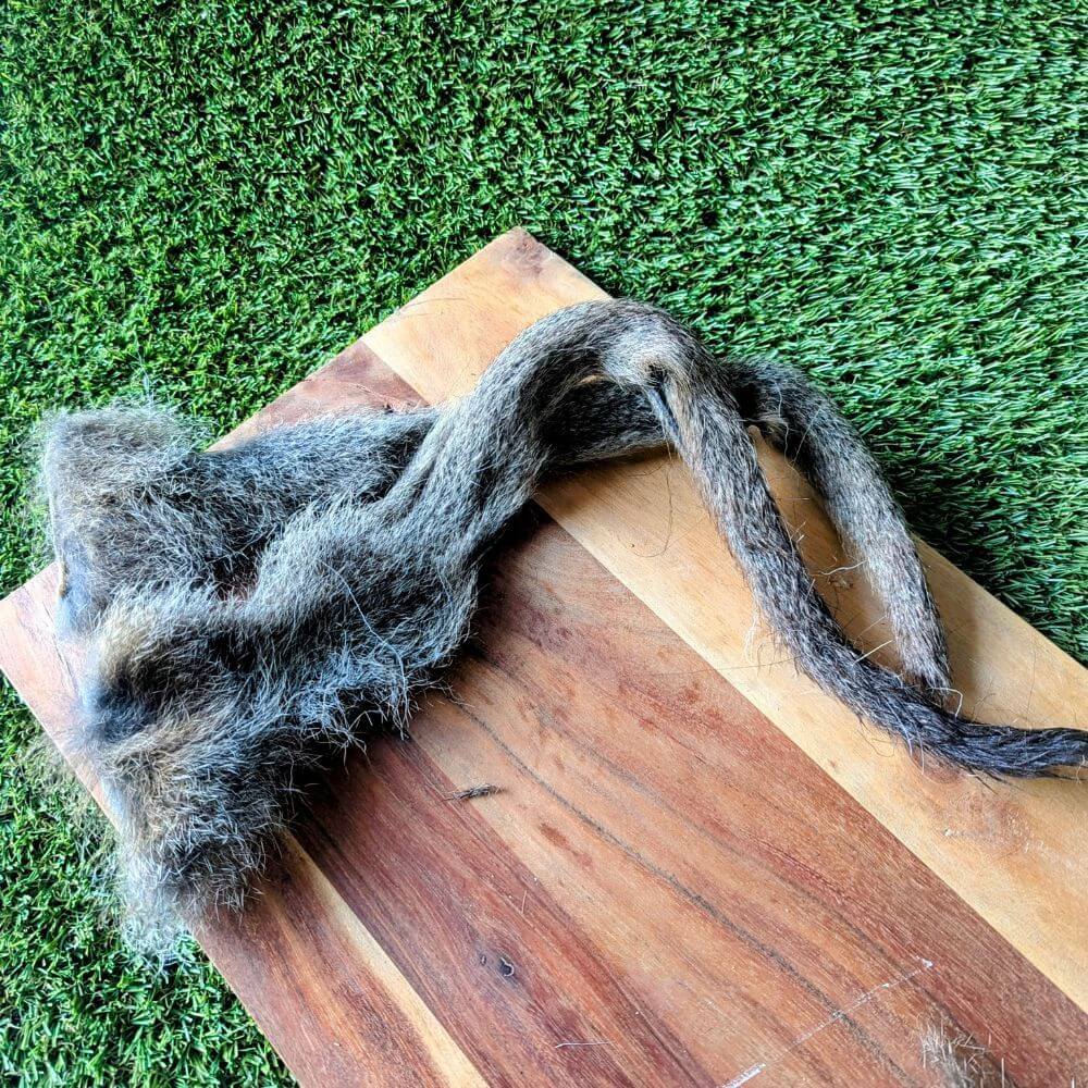 Wallaby tail skin dog chew with fur Bonza Dog Treats