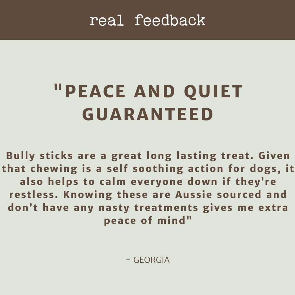 Thick Bully Review bonza dog treats