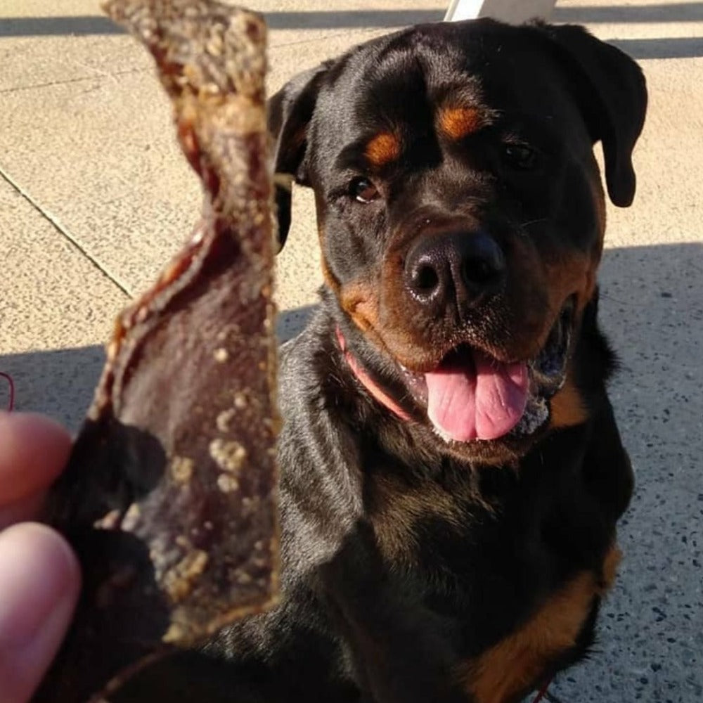 Rottie waiting for treat from Bonza Dog Treats trail mix variety pack