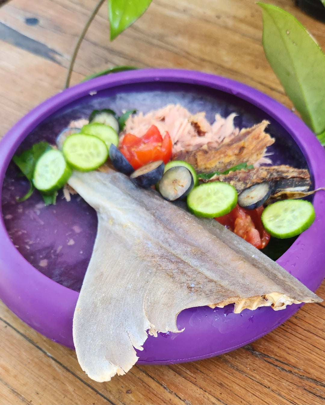 Lickimat UFO with food and treats