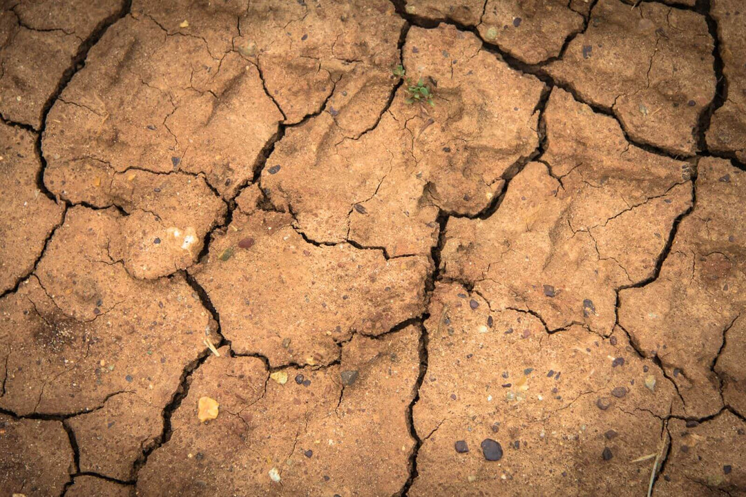 cracked earth