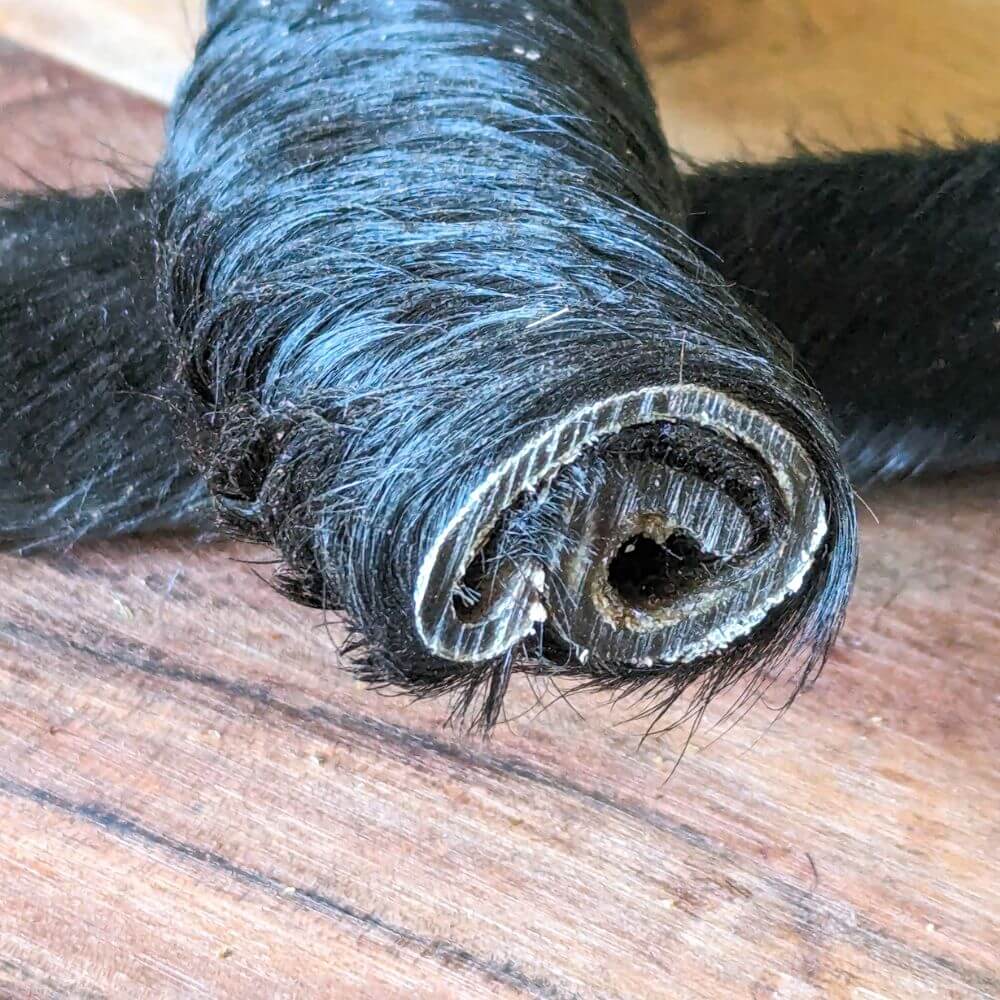 $$\texttt{Hairy Beef Hide Scroll natural rawhide alternative for gut health and dental cleaning | Bonza Dog Treats}$$