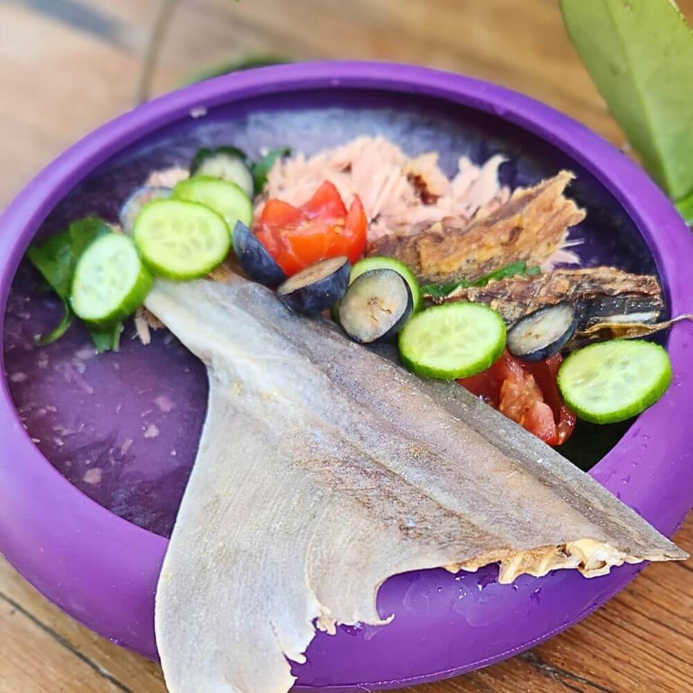 Lickimat UFO filled with dinner and treats