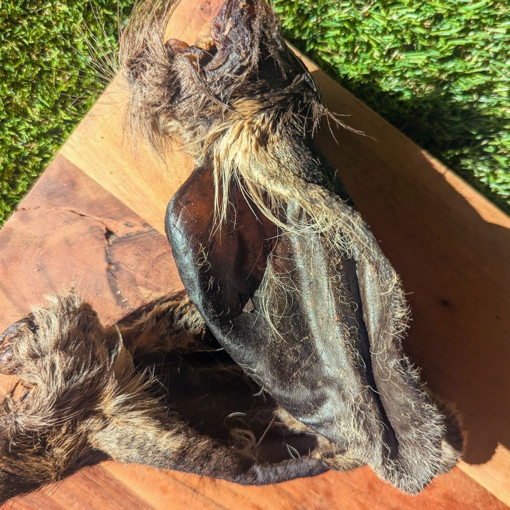 venison ears with fur for dogs