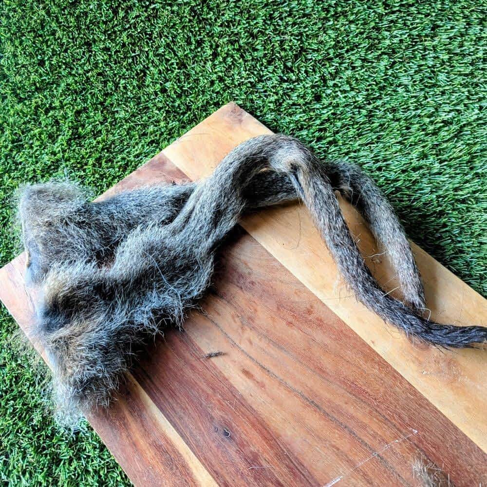 wallaby tail skin novel protein dog treat