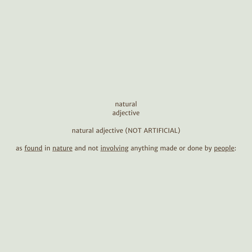 dictionarydefinition of natural displayed in Bonza brand colours