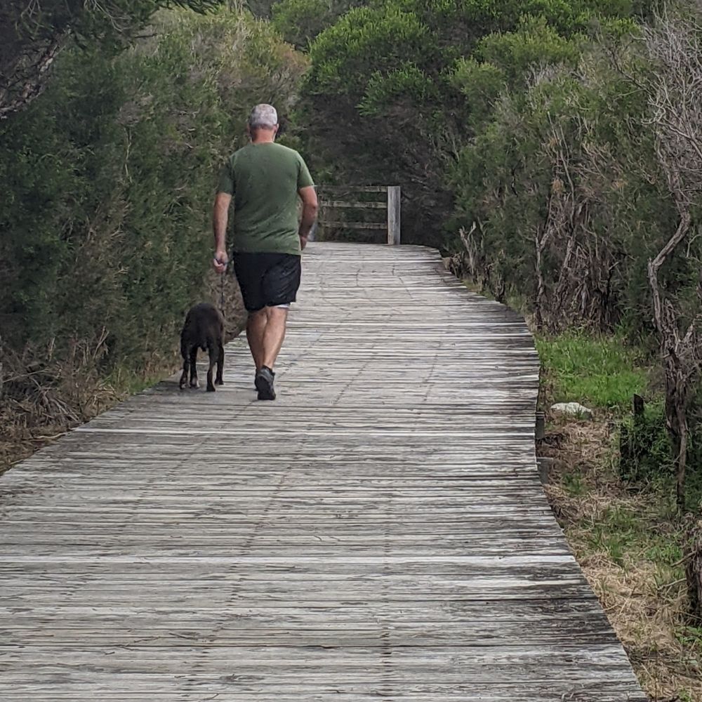 man and dog walking on wooden boardwalk away from camera