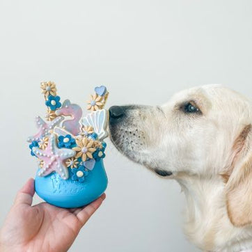 Dog looking at a West Paw Toppl puzzle toy filled with frozen food & enrichment treats