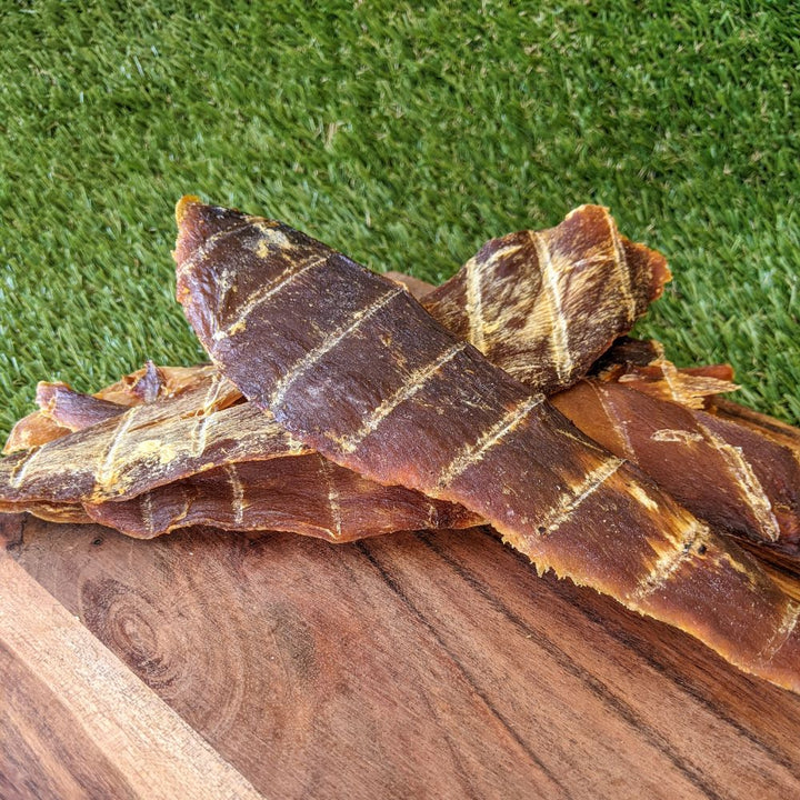 Shark Fillet