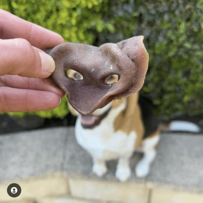 Pig Snouts