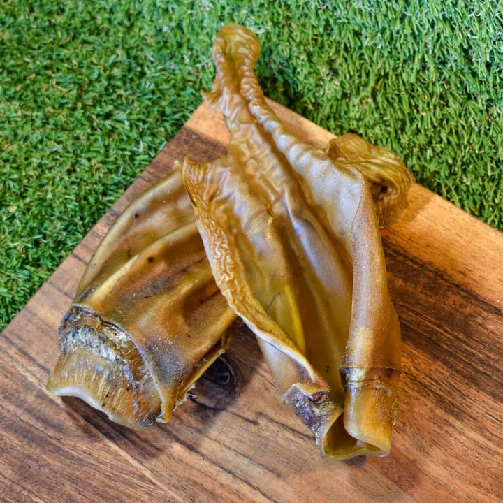 Australian beef ears natural dog chew Bonza Dog Treats