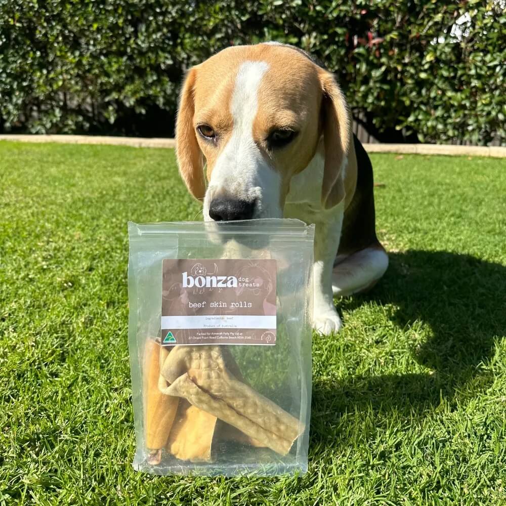 beagle on grass with pack of beef skin roll chews | Bonza Dog Treats