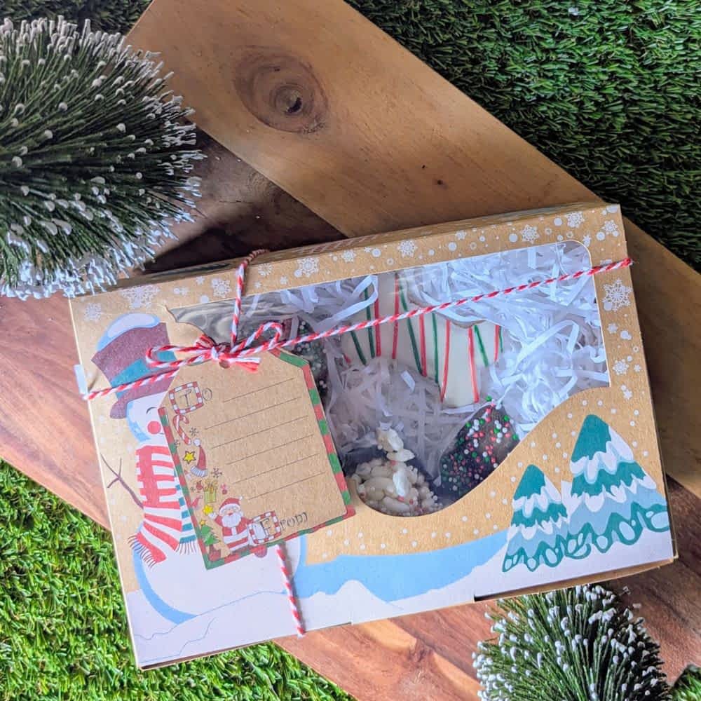 Gourmet Christmas Dog Biscuit Box, finished with a festive cord and containing 5 decorated cookies and treats | Bonza Dog Treats