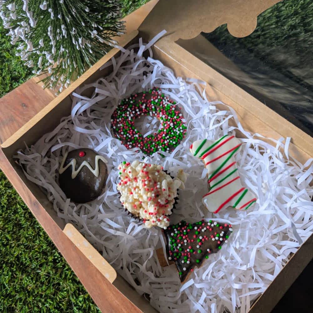 Gourmet Christmas Dog Biscuit Box, finished with a festive cord and containing 5 decorated cookies and treats | Bonza Dog Treats