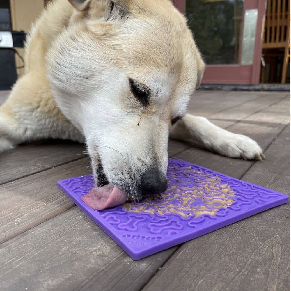 dog licking Sodapup Bones Lick Mat - Shallow, Novice Enrichment Feeding Mat | Bonza Dog Treats