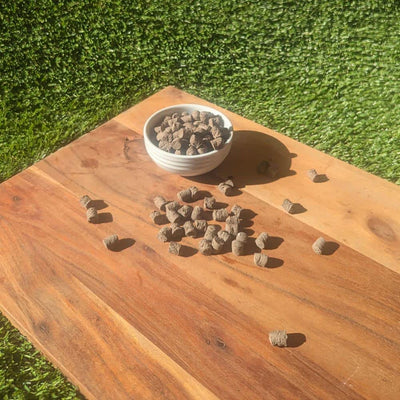 Fish Training Treats