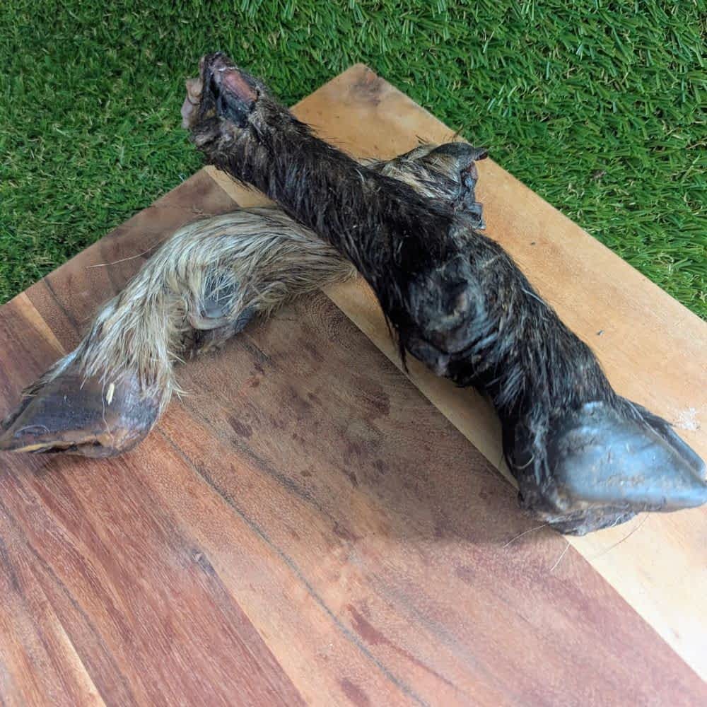 Hairy Goat Trotter Dog Chew - Long-Lasting Novel Protein Treat | Bonza Dog Treats