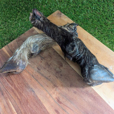 Goat Trotters (Hairy)