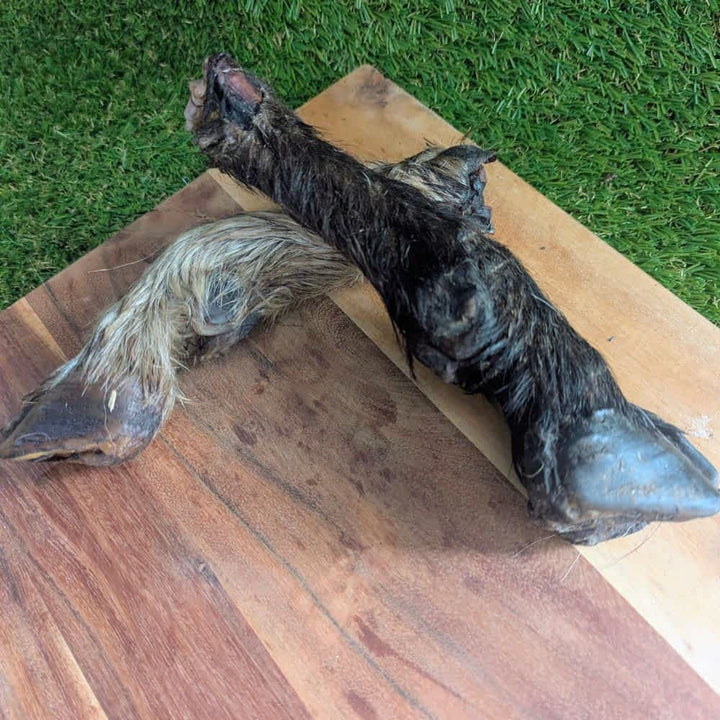 Hairy Goat Trotter Dog Chew - Long-Lasting Novel Protein Treat | Bonza Dog Treats