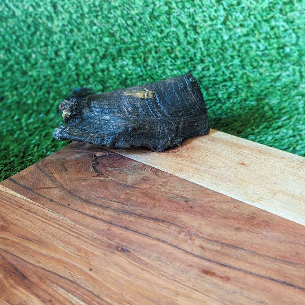 Large Australian Goat Horn Butt, a long-lasting novel protein chew for dental health | Bonza Dog Treats