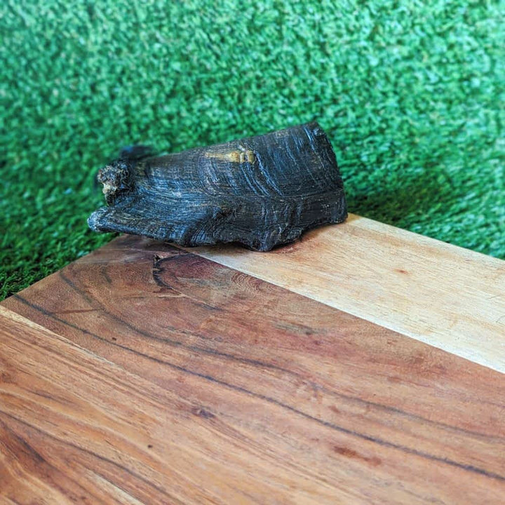 Large Australian Goat Horn Butt, a long-lasting novel protein chew for dental health | Bonza Dog Treats