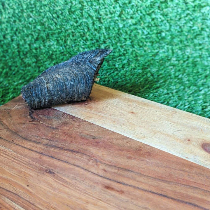 Medium Australian Goat Horn Butt, a long-lasting novel protein chew for dental health | Bonza Dog Treats