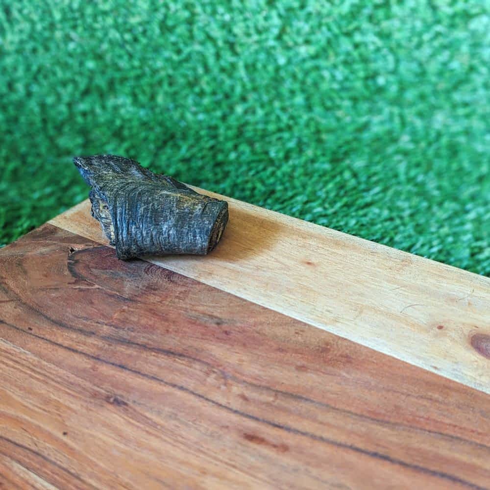 Small Australian Goat Horn Butt, a long-lasting novel protein chew for dental health | Bonza Dog Treats