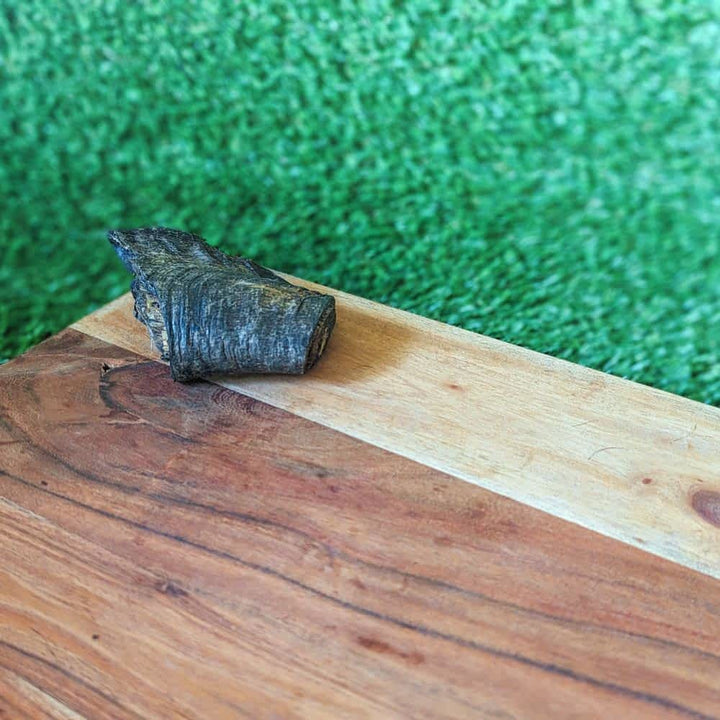 Small Australian Goat Horn Butt, a long-lasting novel protein chew for dental health | Bonza Dog Treats