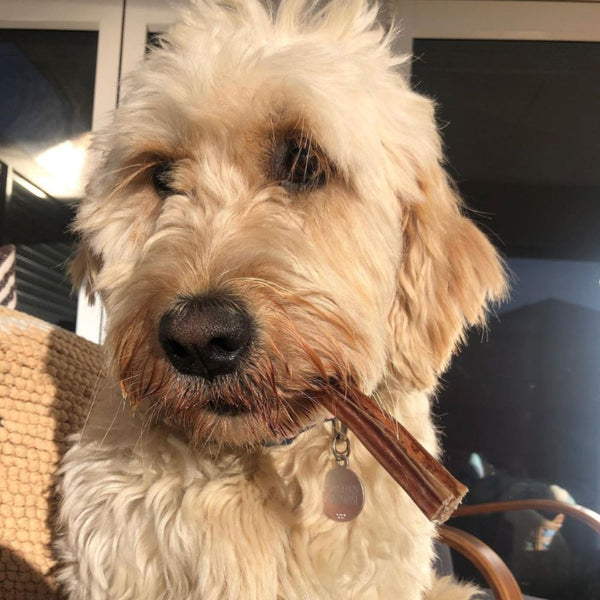 Beef Bully Sticks (Small)