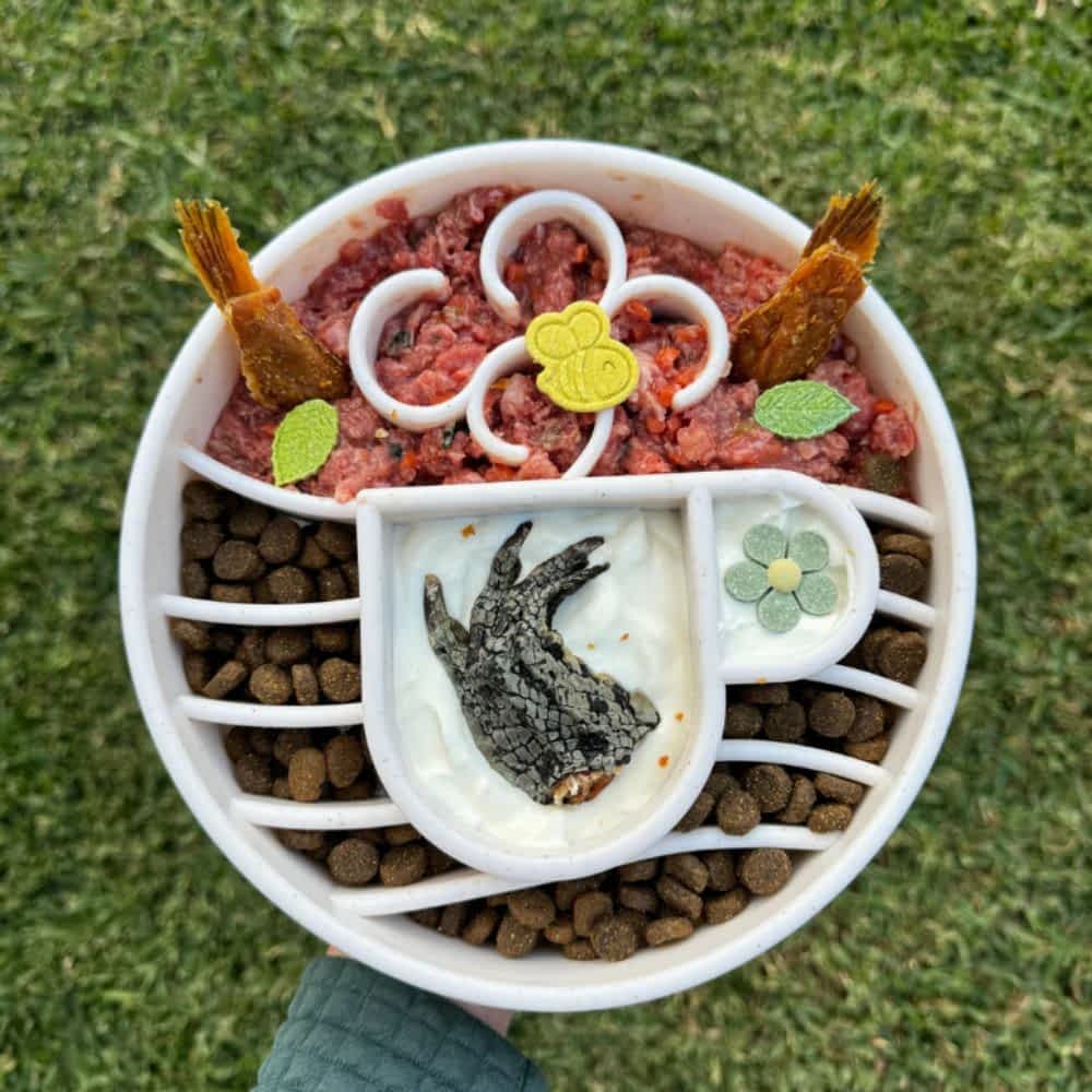 Filled Sodapup Java eBowl - Deep Slow Feeder Enrichment Bowl (4 Cup) | Bonza Dog Treats