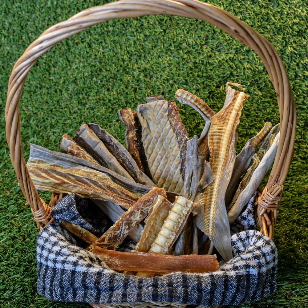 Jaws variety pack - collection of shark dog treats by Bonza Dog Treats