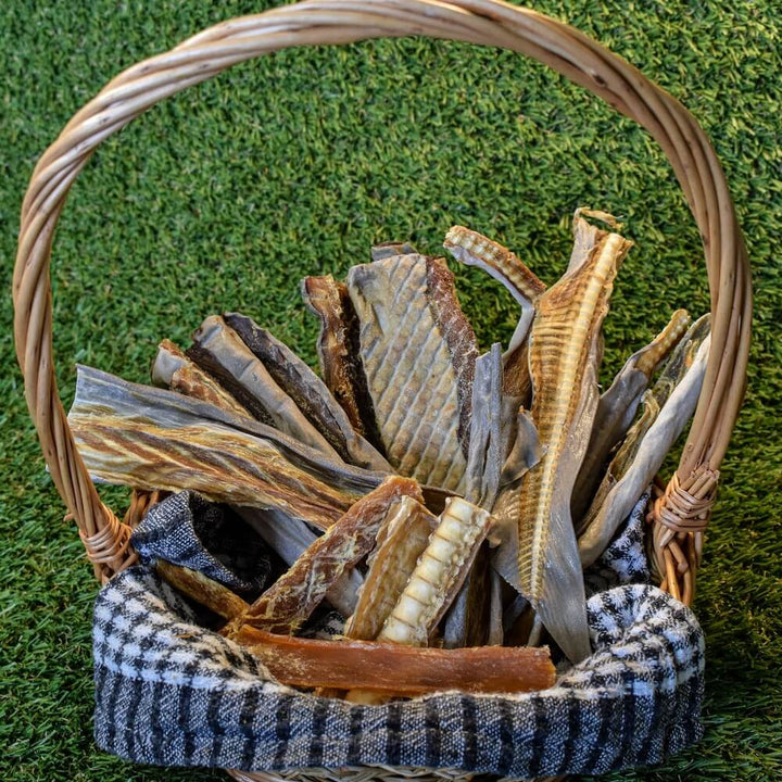 Jaws variety pack - collection of shark dog treats by Bonza Dog Treats
