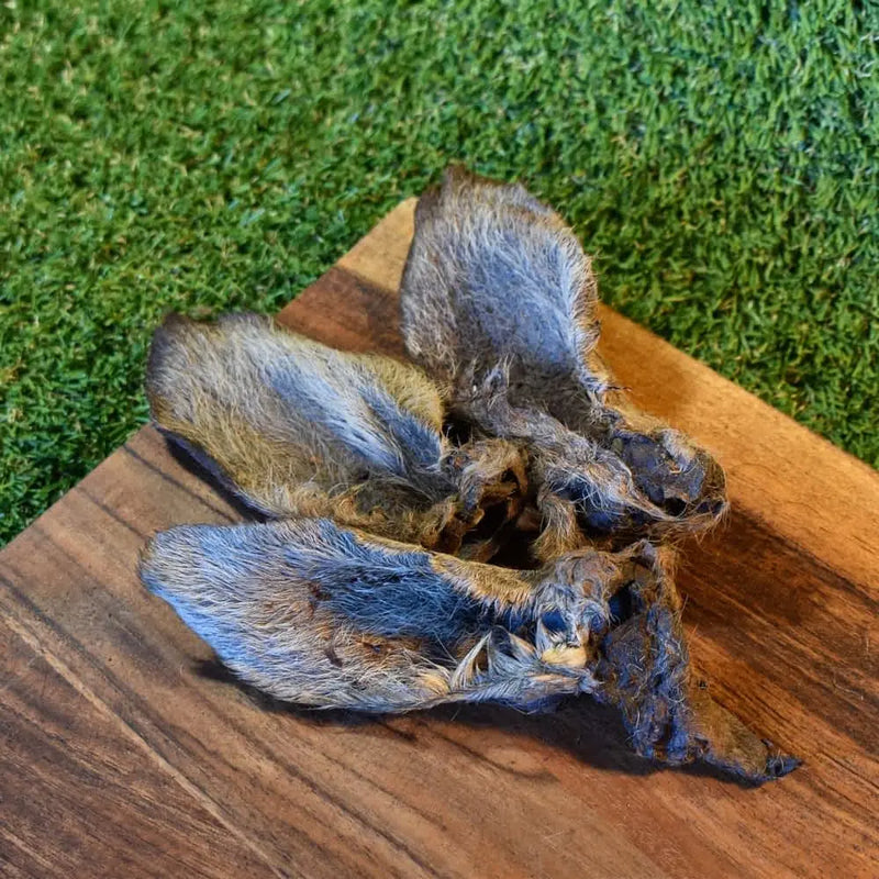 Kangaroo Ears with Fur (Roo Ears) dog treat, a low-fat digestive chew for anal gland support | Bonza Dog Treats