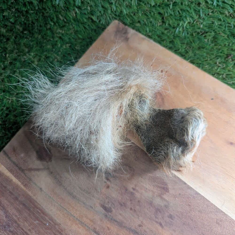 Kangaroo Testicle with Hair Dog Treat - Wild Novel Protein Chew | Bonza Dog Treats