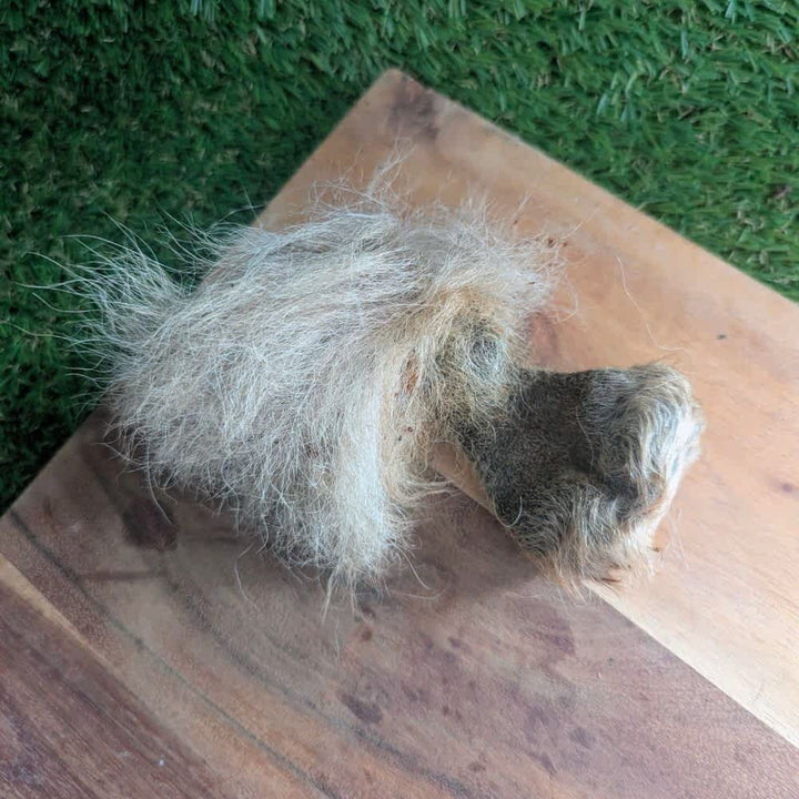 Kangaroo Testicle with Hair Dog Treat - Wild Novel Protein Chew | Bonza Dog Treats