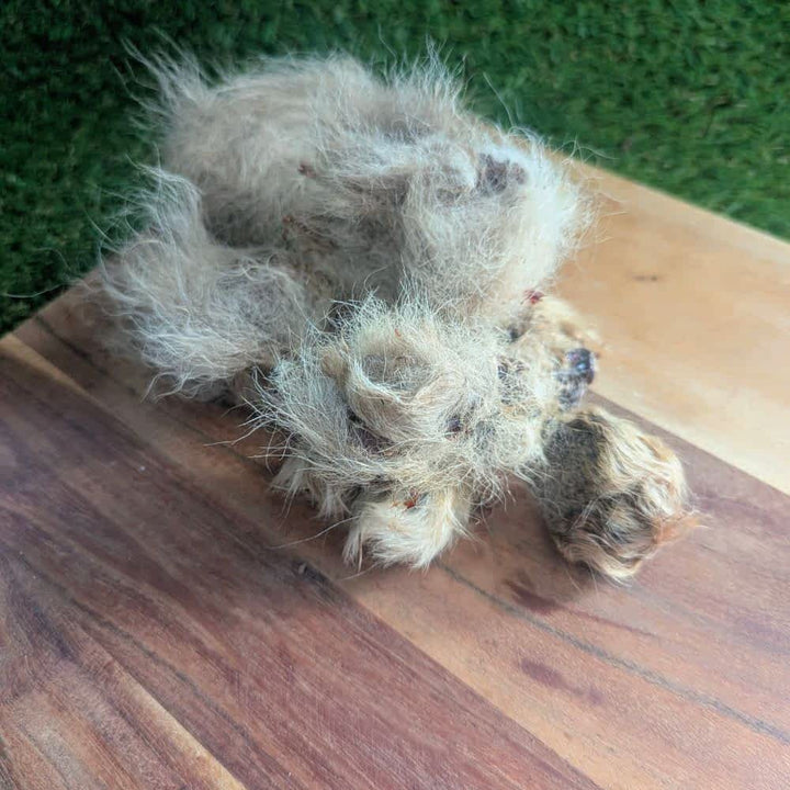 Pile of Kangaroo Testicles with Hair Dog Treat - Wild Novel Protein Chew | Bonza Dog Treats