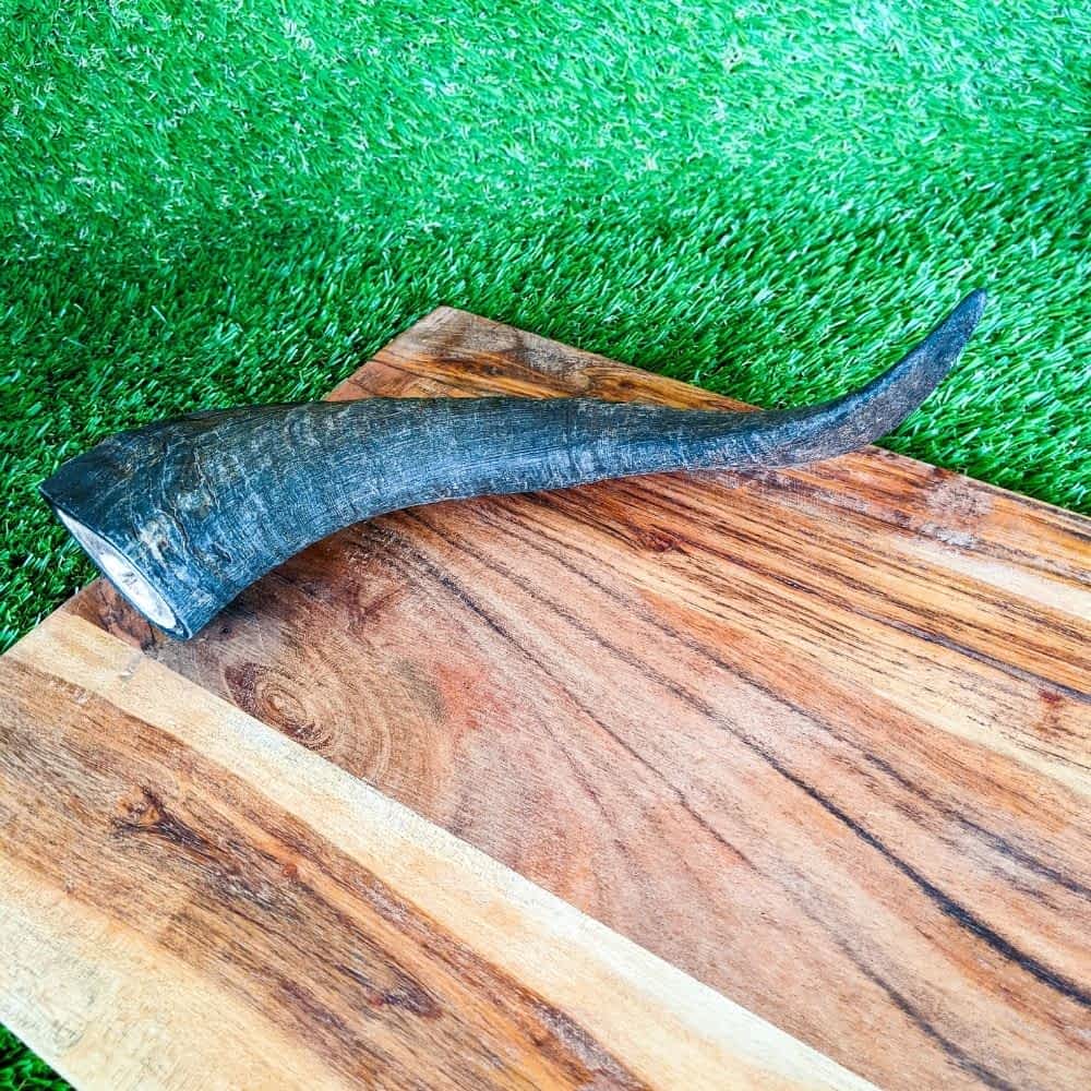large goat horn natural dental chew | Bonza Dog Treats