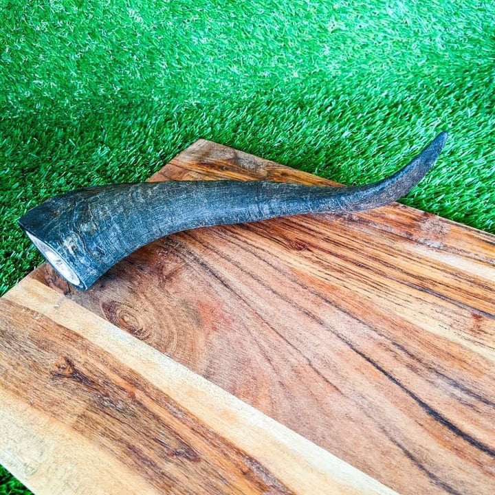 large goat horn natural dental chew | Bonza Dog Treats