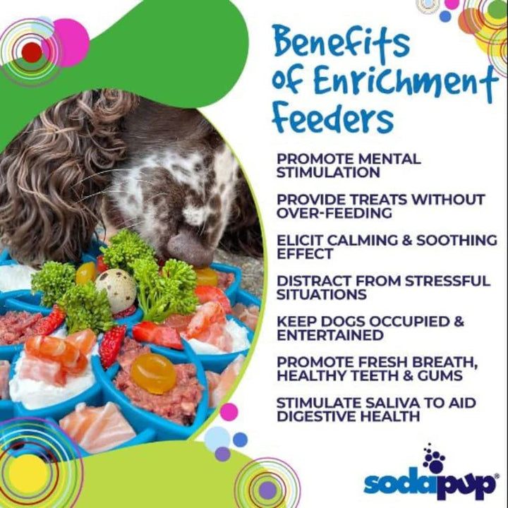 Benefits factsheet Green Sodapup Mandala eTray - Universal Slow Feeder for Puppies & Brachycephalic Dogs | Bonza Dog Treats