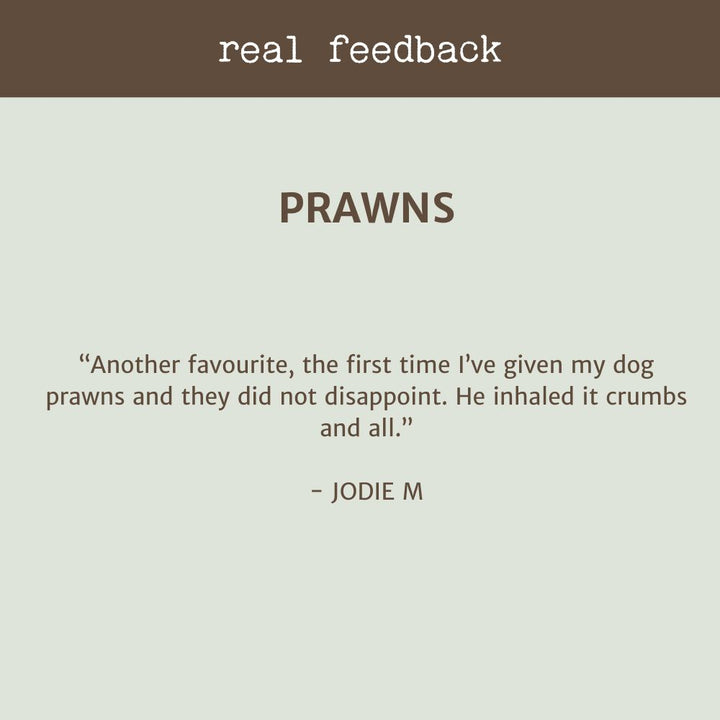 CUSTOMER REVIEW PRAWNS BONZA DOG TREATS