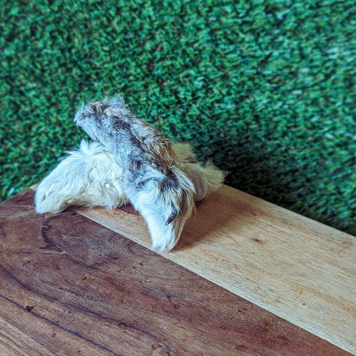 Australian Rabbit Feet with Fur On, a novel protein dog treat that supports anal gland health, gut cleansing, and provides calming stress relief | Bonza Dog Treats