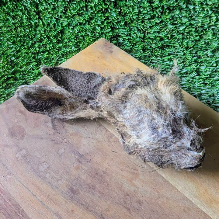 rabbit head fur on dog treat | Bonza Dog Treats