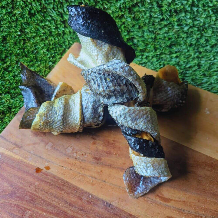 Salmon Twister dog treat with salmon skin and shark cartilage joint and dental health | Bonza Dog Treats