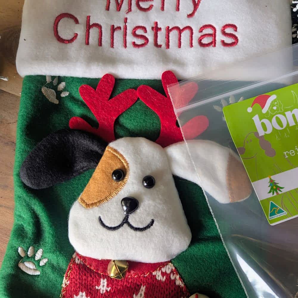Reusable Santa Stocking stuffed with 6 exclusive festive dog treats, including cookies, bonbons, and venison jerky, the perfect Christmas gift for dogs | Bonza Dog Treats