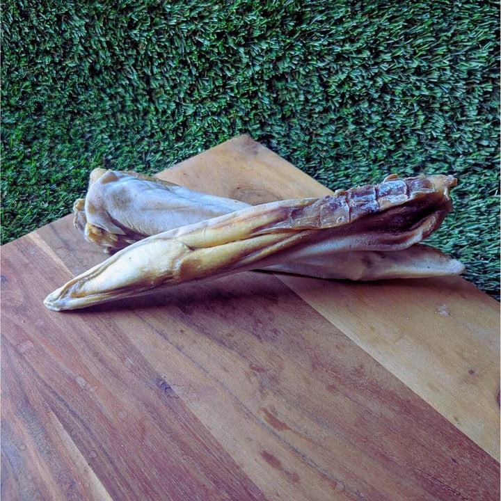 Shark Dagger Chews
